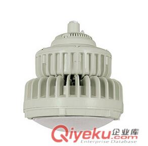 BED52防爆免維護節能燈(LED) 防爆防腐LED節能燈廠家 隔爆燈LED燈配件