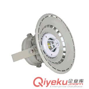 BED53防爆節能燈(LED) 防爆單顆LED燈 防爆多顆LED燈廠家隔爆節能燈報價