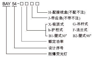 BAY54防爆环形荧光灯(节能T 5灯管) 防爆防腐荧光灯 防爆泛光灯厂家