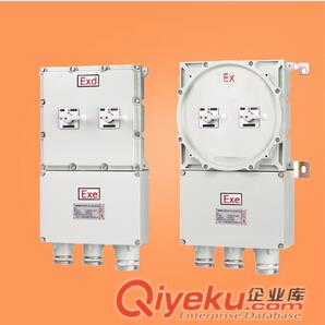 BDX□-□D防爆動力配電箱(動力檢修)防爆配電箱廠家防爆檢修箱報價原始圖片3