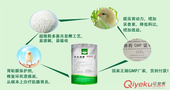 肌腺胃炎專用藥——山東魯冠胃舒