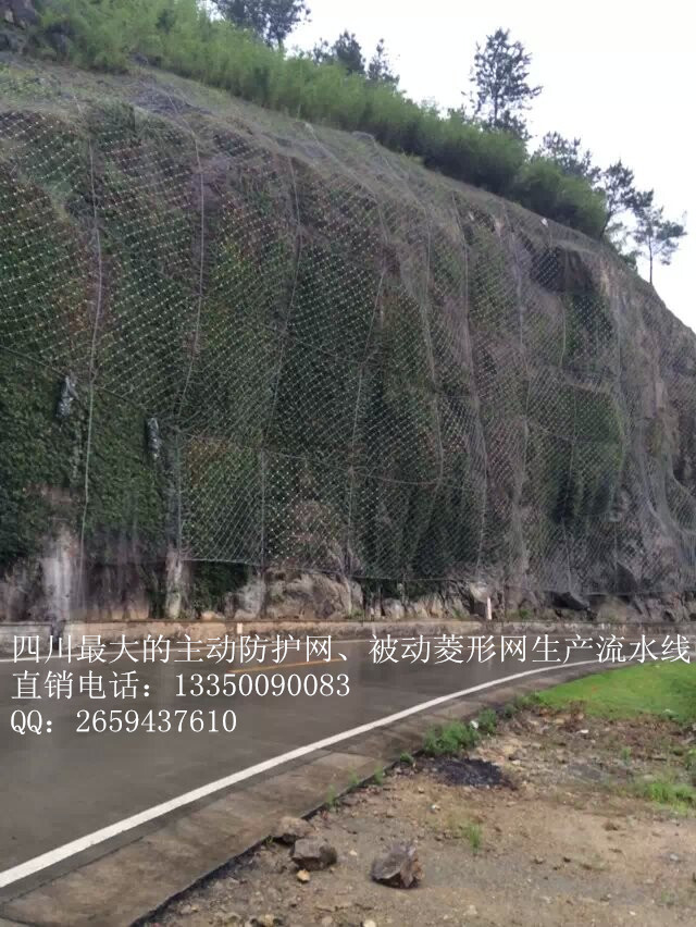 廠家直銷主動防護(hù)網(wǎng)13350090083價格優(yōu)惠、安全防護(hù)網(wǎng)生產(chǎn)、型號單價參數(shù)、邊坡防護(hù)網(wǎng)生  、成都主動防護(hù)網(wǎng)生產(chǎn)廠家、交通安全防護(hù)原始圖片3