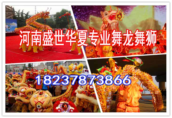 臨漳舞龍團(tuán)