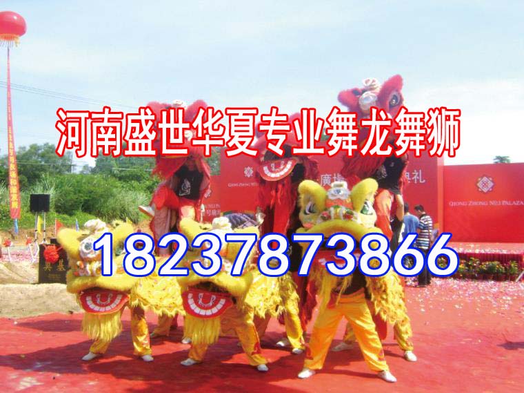 藁城市舞龍表演