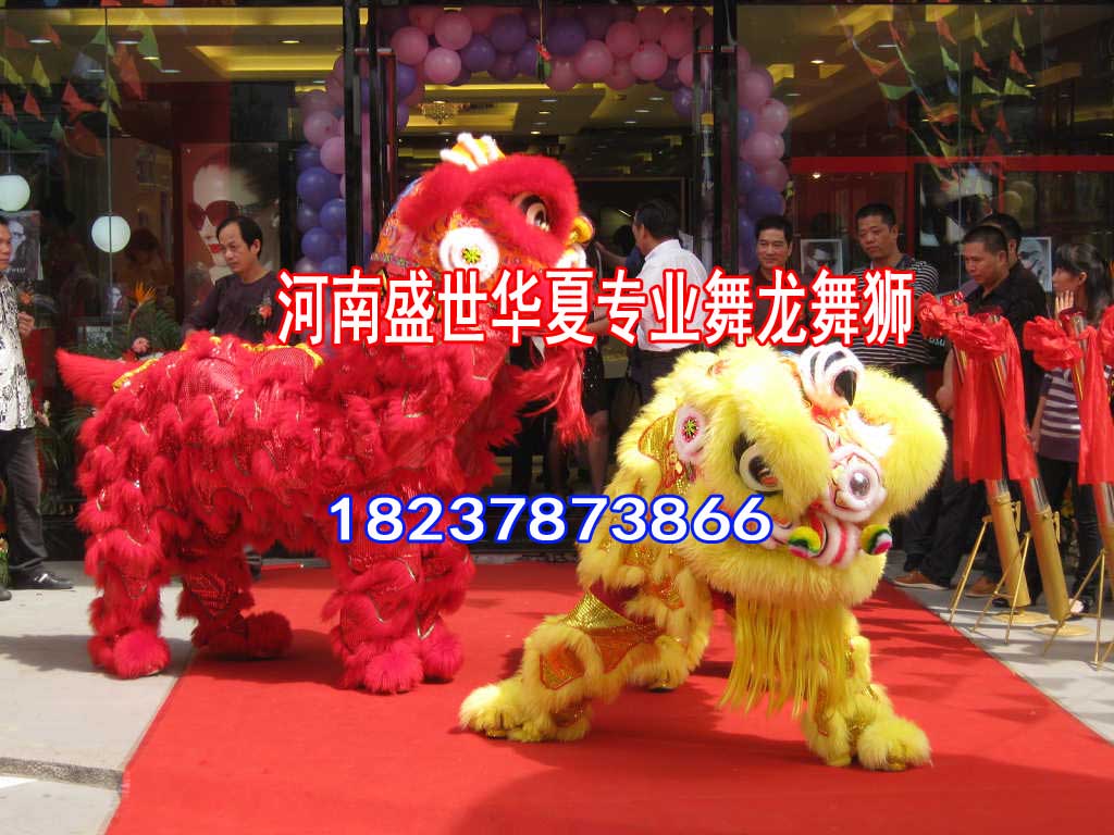 靈丘舞龍表演公司