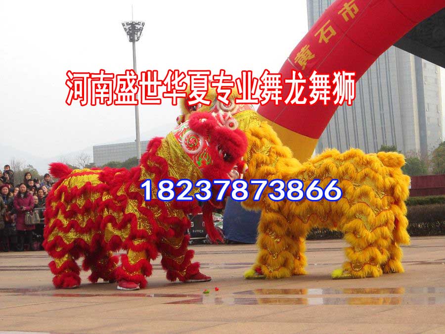 隰舞龍團公司