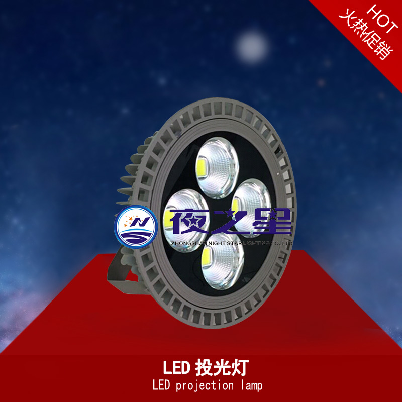 LED投光灯LED projection lamp