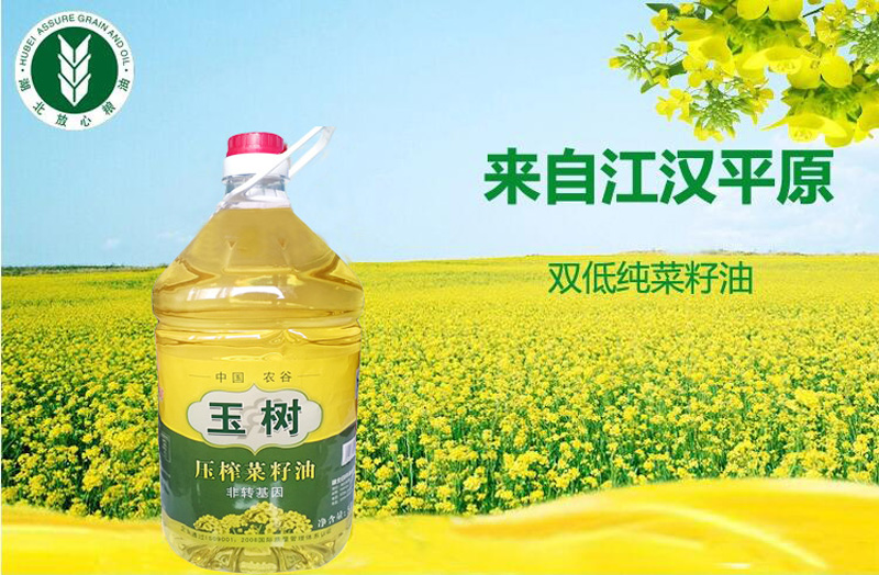 湖北玉樹菜籽油非轉基因物理壓榨一級菜油價格實惠量大從優原始圖片2