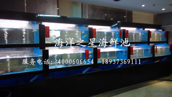 酒店海鮮池生產商、移動式海鮮池生產廠家