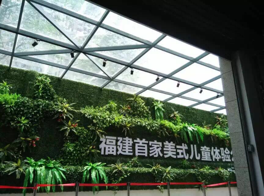 福建仿真植物墻 福建仿真植物墻定制 美尚供