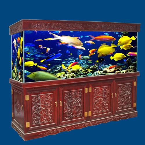 實(shí)木3D立體透雕魚缸批發(fā)價(jià)格