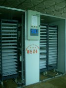 ZC-FA35孵化機(jī)參考價格/種類/優(yōu)惠/德州趙成孵化設(shè)備廠