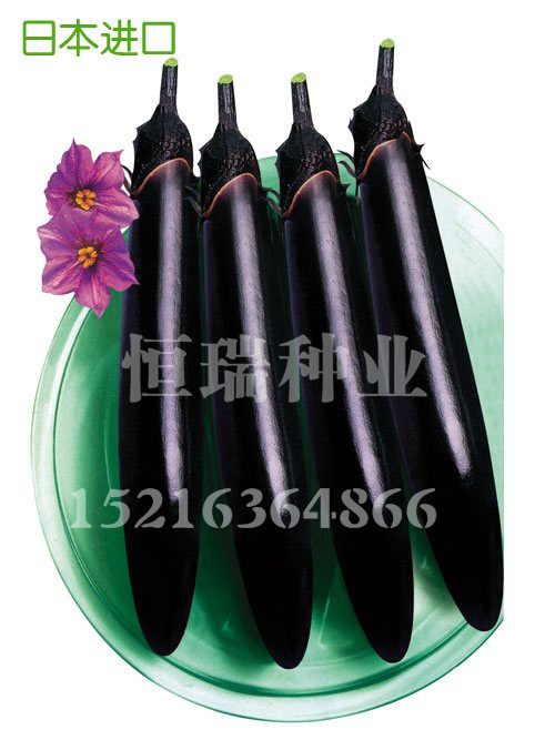 高品質蔬菜種子推薦——線椒種子