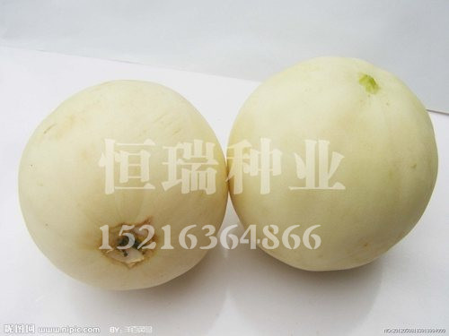 高品質(zhì)蔬菜種子推薦——線椒種子