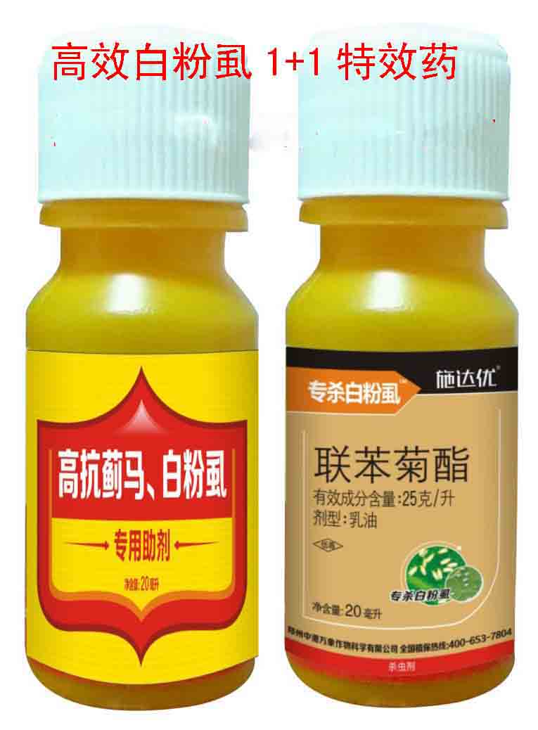 辣椒白飞虱zyx的杀虫剂 济南温室白飞虱{tx}药