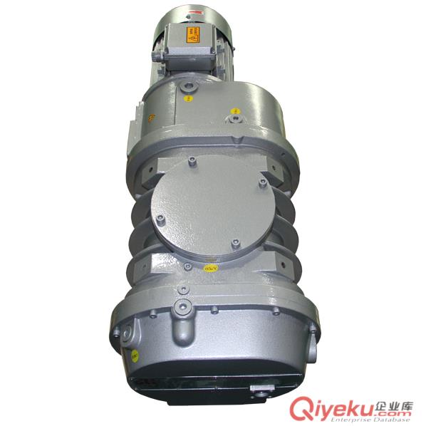 DLT·LC500羅茨進口真空泵維修