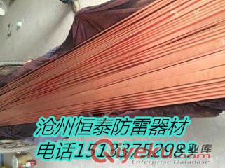 供應(yīng)山西大同銅包鋼扁線廠家直銷原始圖片3