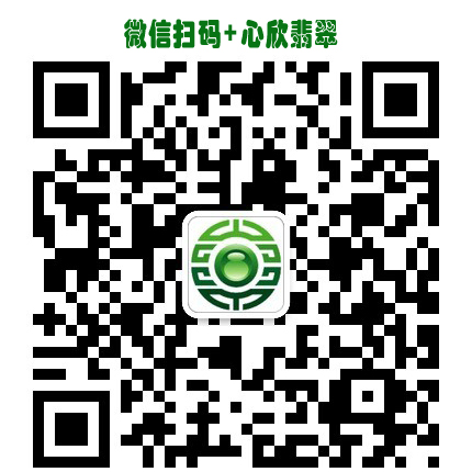 A貨翡翠豆種四季豆廠家