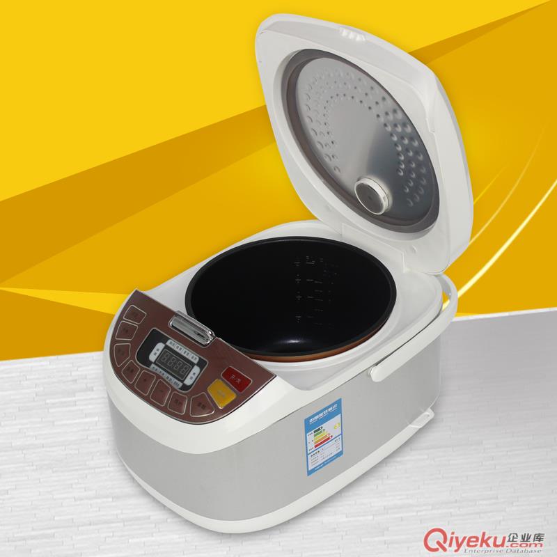 家用生活智能電飯煲 批發(fā)tjzp電飯鍋5L 微電腦24小時(shí)預(yù)約電飯鍋原始圖片3
