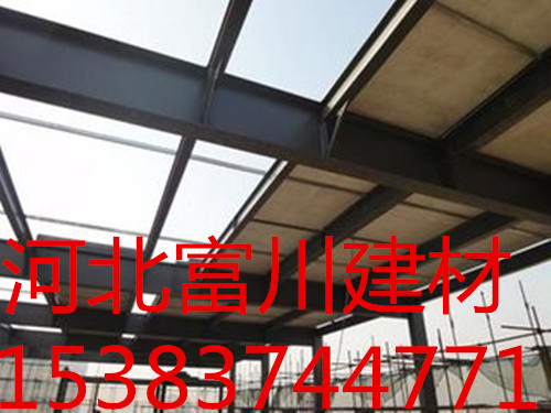 山東鋼骨架輕型板廠家/選富川建材原始圖片3