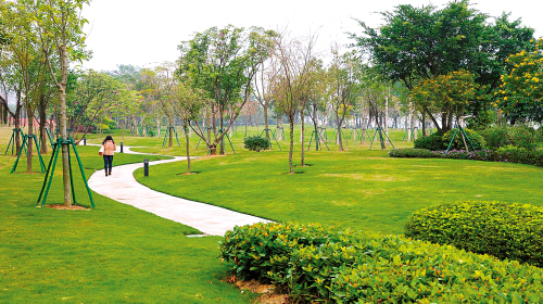 美麗田園園林提供城市公共綠地園林景觀綠化工程服務(wù)原始圖片2