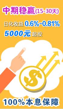 金融靈活配置混合型85002