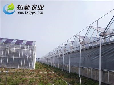 江西太陽能大棚品質保障 拓新供 太陽能大棚