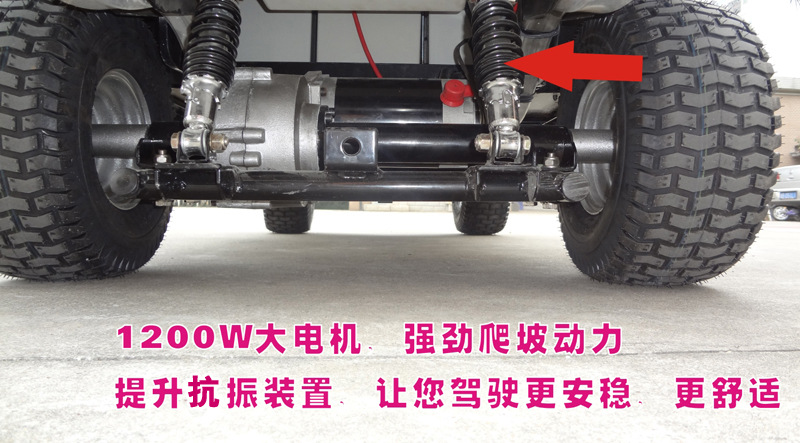 半封閉小車(chē)型 2座四輪電動(dòng)巡邏車(chē)AX-D2-G（S-13）廠(chǎng)家直銷(xiāo)