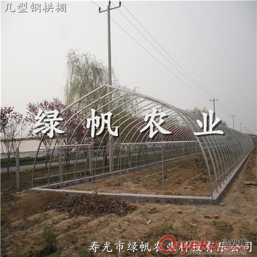 供應(yīng)全鋼管拱棚 春秋棚 蔬菜大棚 溫室工程建設(shè)