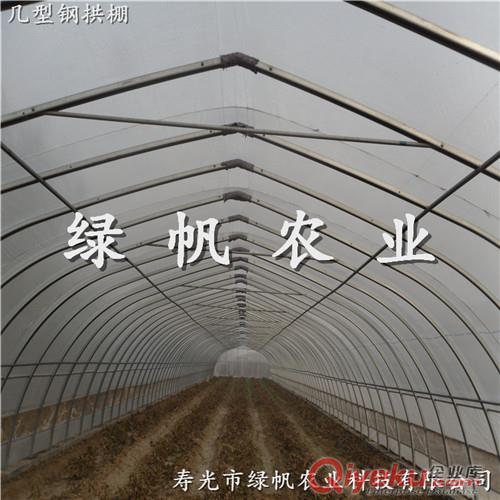 供應(yīng)壽光市綠帆農(nóng)業(yè) 100*10幾型鋼拱棚 春秋棚造價(jià) 溫室工程廠家 原始圖片2