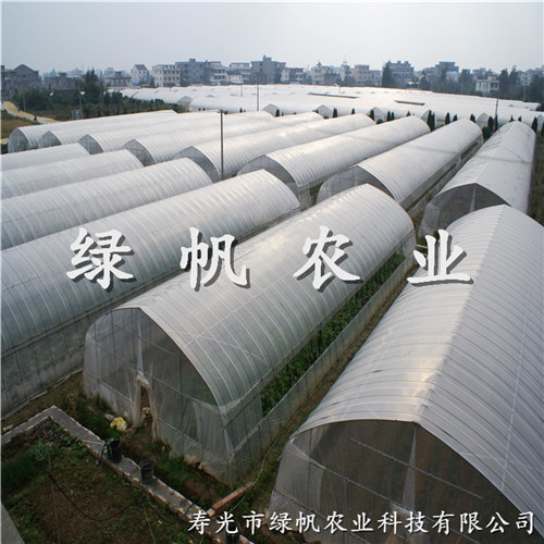 供應(yīng)全鋼管拱棚 春秋棚 蔬菜大棚 溫室工程建設(shè)