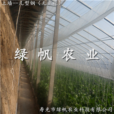 供應(yīng)壽光市冬暖式日光溫室  100*10幾型鋼土棚 蔬菜大棚 日光溫室造價(jià) 
