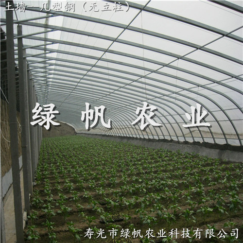 供應(yīng)壽光市冬暖式日光溫室  100*10幾型鋼土棚 蔬菜大棚 日光溫室造價(jià) 原始圖片2