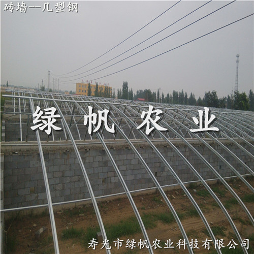 供應(yīng)壽光市冬暖式日光溫室  100*10幾型鋼土棚 蔬菜大棚 日光溫室造價(jià) 原始圖片3