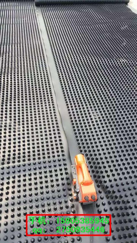 朔州地下室蓄排水板→綠化植草格現貨15805385945