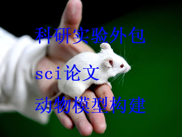 動物實驗外包價格 科研實驗外包價格便宜