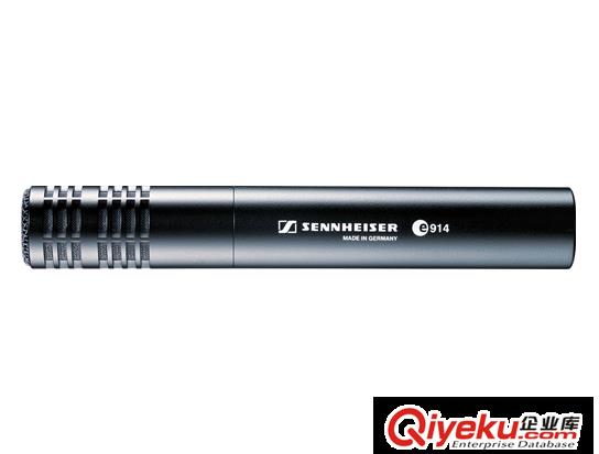 SENNHEISER/森海塞爾 E914電容式有線錄音專用心型指向麥克風話筒