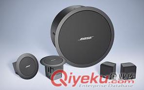 BOSE DS100SE 全頻揚(yáng)聲器 全新行貨 單只價(jià)
