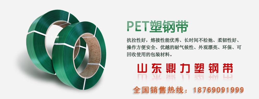 PET打包帶廠家/PET打包帶