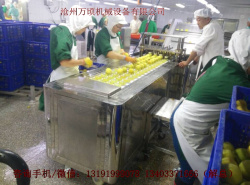 青州蜜桃挖核機原始圖片2