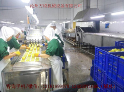 青州蜜桃挖核機原始圖片3