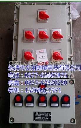 BXD51-8K防爆照明/動(dòng)力配電箱廠家規(guī)格型號(hào)