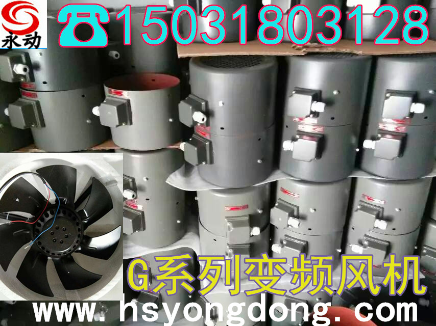 永動變頻調(diào)速電機通風(fēng)機 變頻電機專用強冷風(fēng)機 變頻軸流風(fēng)扇