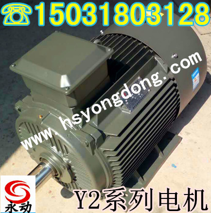 Y系列電機(jī)升級(jí)型：Y2、YX、YE優(yōu)質(zhì)專(zhuān)業(yè)生產(chǎn)廠家