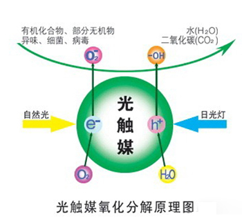 衡水除甲醛公司泰佰惠：甲醛qc劑光觸媒優點