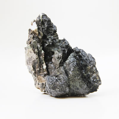想要無病蟲害的杜娟根就來廣州吳氏水草_杜娟根造景