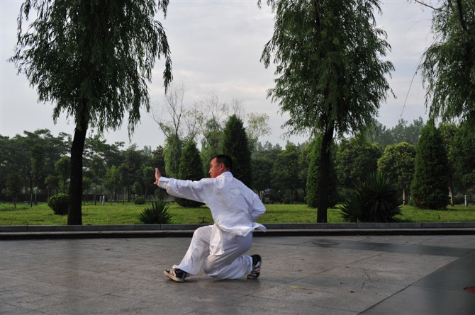 陳式太極拳-獨創的太極拳藏寶圖，讓你對太極拳有個整體觀