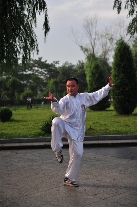 太极–陈式太极拳—阶段学习计划与目标让你练拳不再迷茫