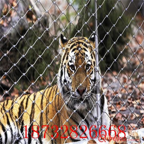 不銹鋼繩網(wǎng)|不銹鋼絲繩網(wǎng)|鋼絲繩編織網(wǎng)|動物園專用防護(hù)網(wǎng)|