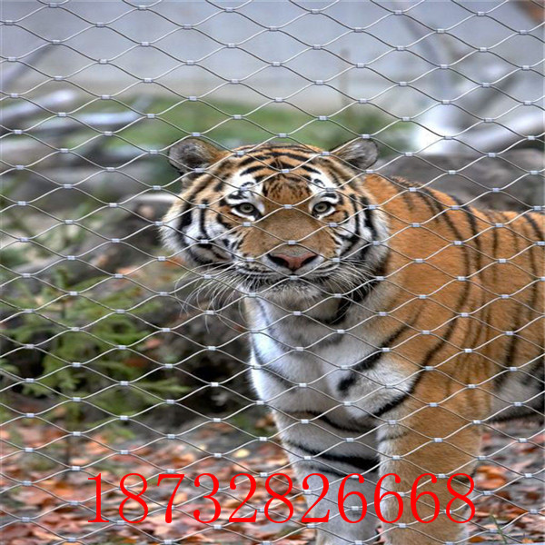 【廠家直銷】供應動物園鋼絲繩網、鋼絲網 原始圖片2